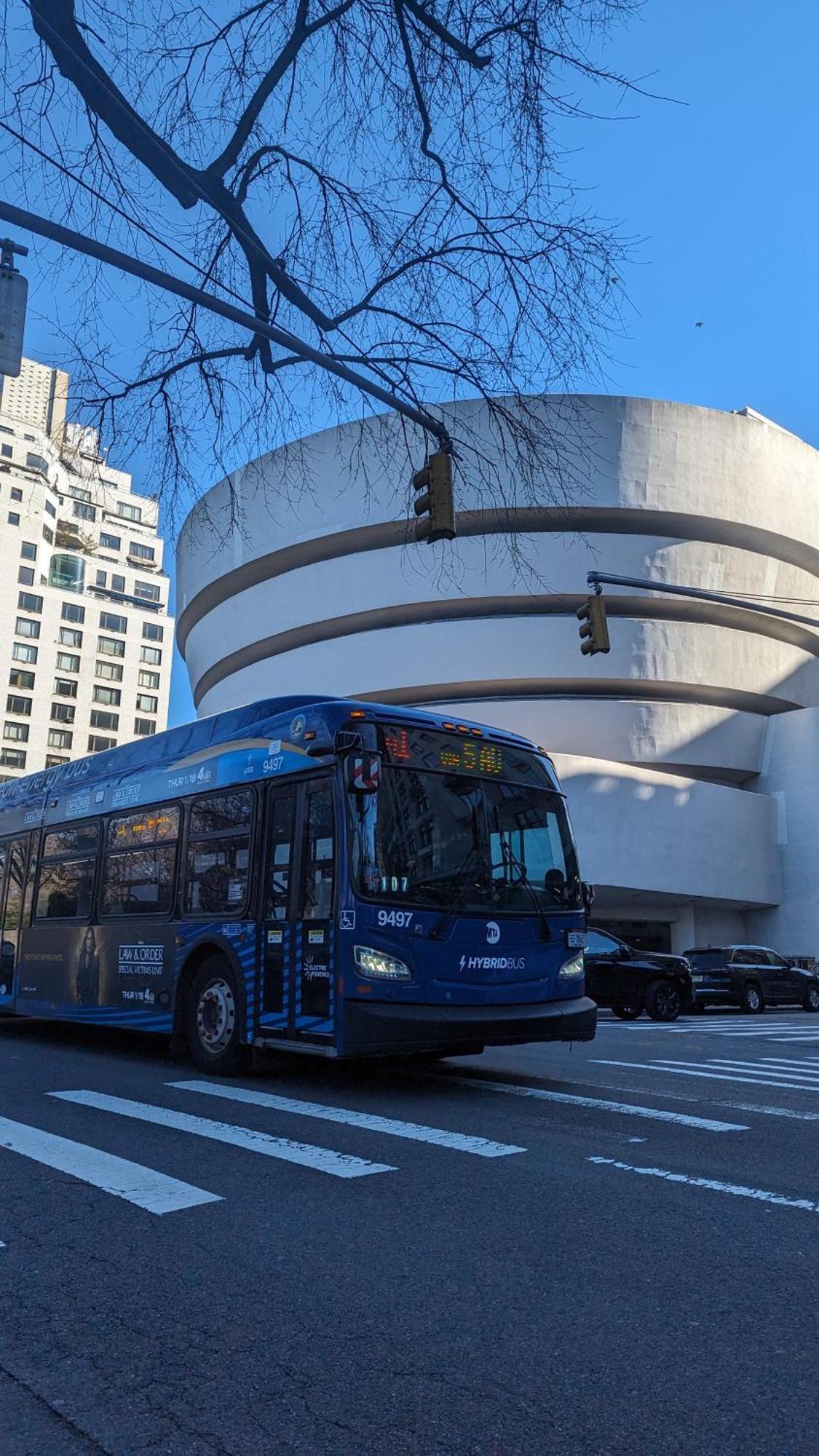Central Park East And Museums New York Extérieur photo